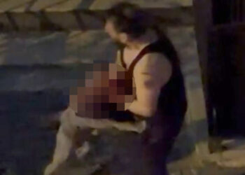 Bahçelievler'de Pitbull dehşeti; Sahibine saldırdı