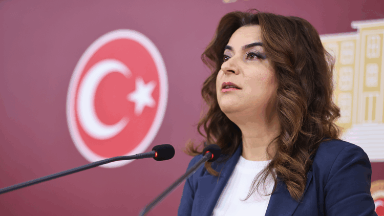 Irak, Suriye ve Lübnan tezkerelerine 'hayır' oyu vereceğiz