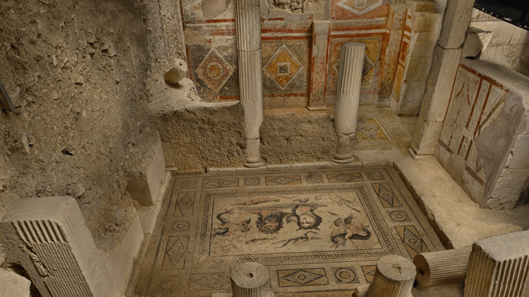 İş Bankası’ndan Muzalar Evi’ne koruma desteği