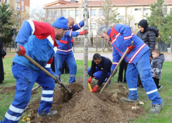 Kağıthane’de ‘Her Bebeğe Bir Ağaç’ uygulaması ile fidan dikiliyor