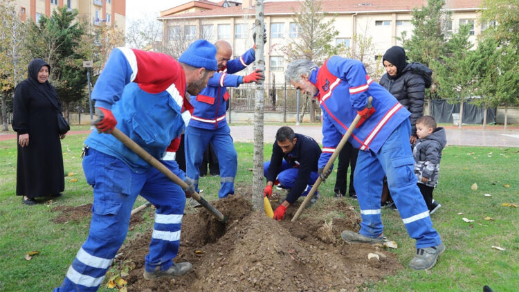 Kağıthane’de ‘Her Bebeğe Bir Ağaç’ uygulaması ile fidan dikiliyor