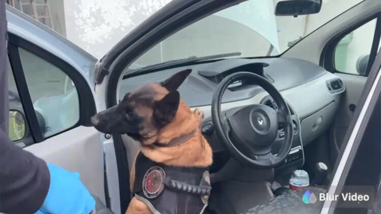 Otomobilin çeşitli bölmelerine zulalanmış 45 kilo 750 gram eroin ele geçirildi