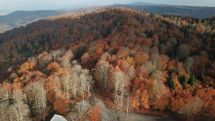 Kuzuyayla Tabiat Parkı'nda sonbahar güzelliği