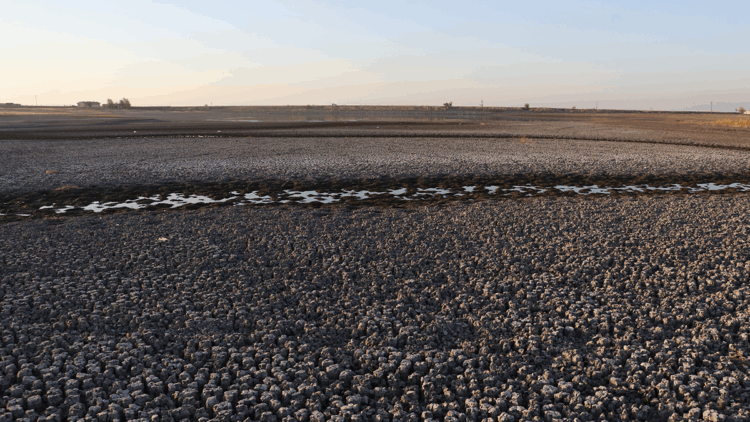 Kabaklı Göleti son demlerini yaşıyor