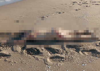Karasu'da kumsalda çıplak erkek cesedi bulundu