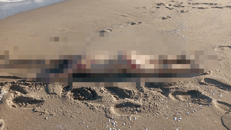 Karasu'da kumsalda çıplak erkek cesedi bulundu