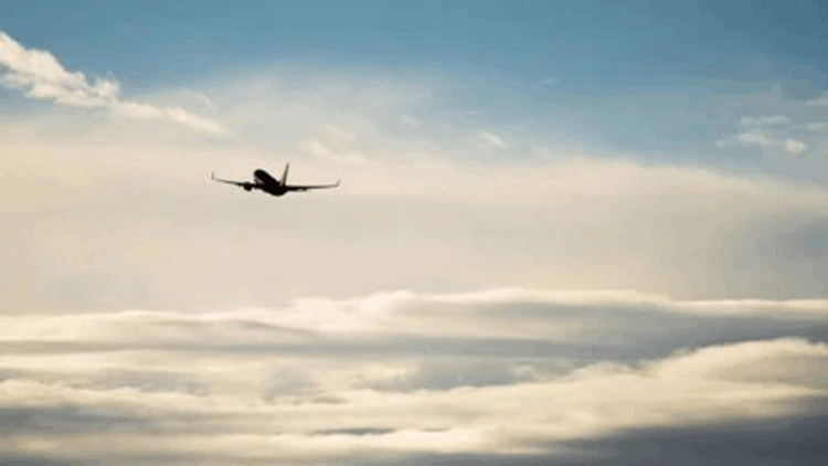 Kenya'da uçak düştü: 12 ölü