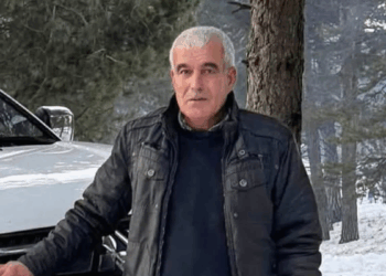 Kestiği kavak ağacının altında kalıp öldü