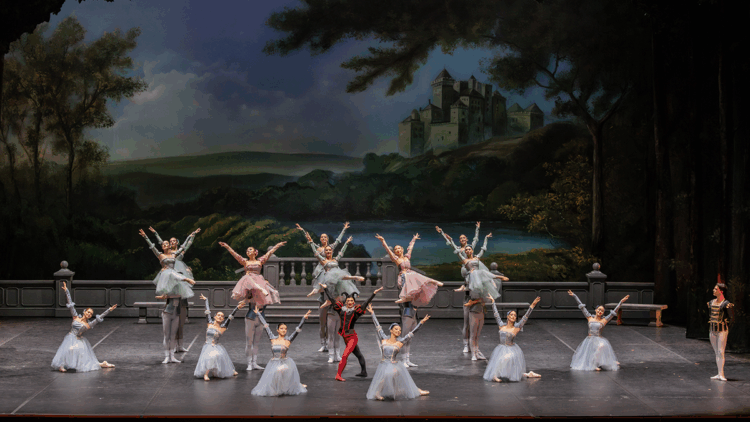 'Kuğu Gölü' balesi AKM'de prömiyer yapacak