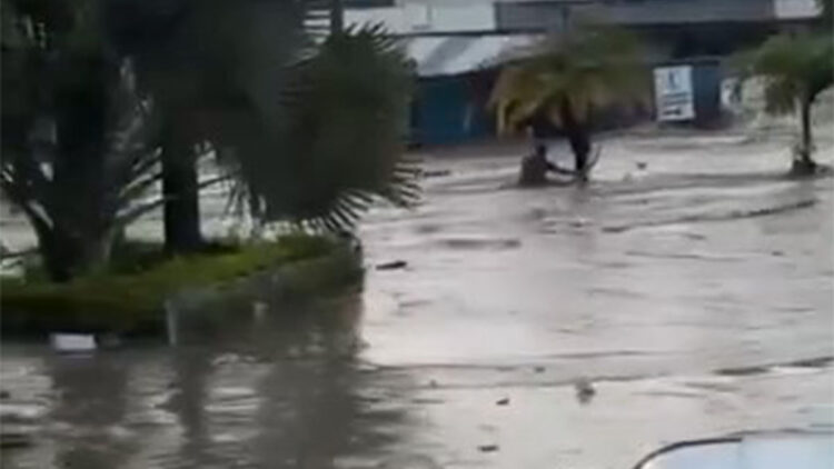 Meksika'da şiddetli yağış; 41 ölü