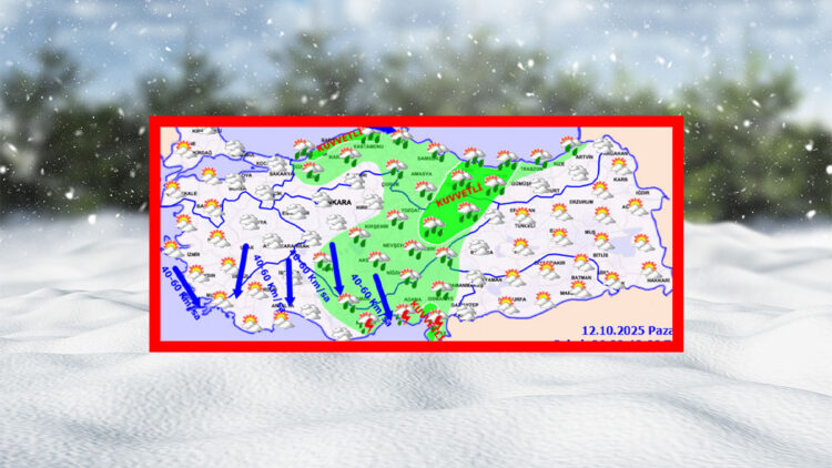 Kara kış ve lapa lapa kar geliyor!