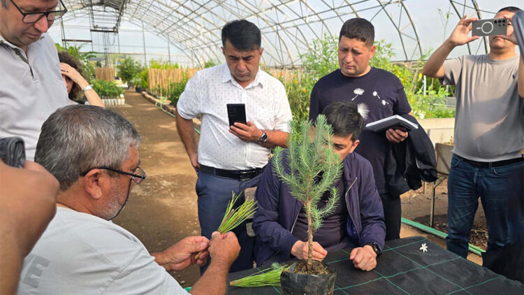 Özbek ormancılık heyetinden Muğla'da teknik inceleme