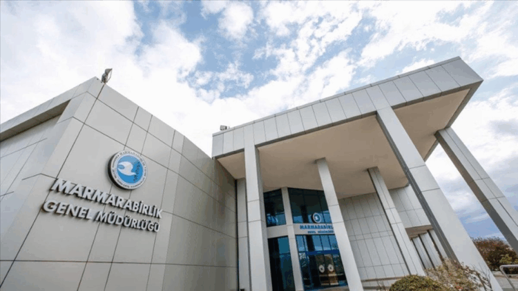 Marmarabirlik, zeytinyağı ile çikolata üretecek