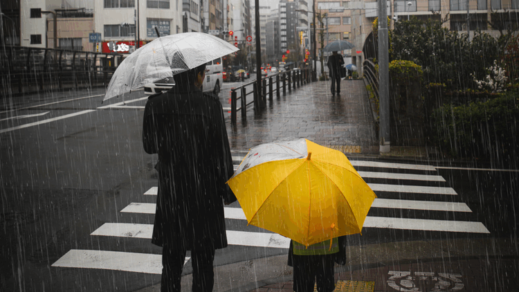 Meteorolojiden 52 il için sarı, 4 il için turuncu kodlu sağanak uyarısı