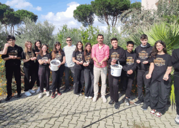 Okul bahçesinde öğrencilerden zeytin hasadıOkul bahçesinde öğrencilerden zeytin hasadı