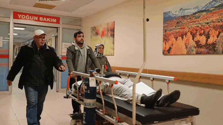 Ormandan toplayıp yediği mantardan zehirlendi