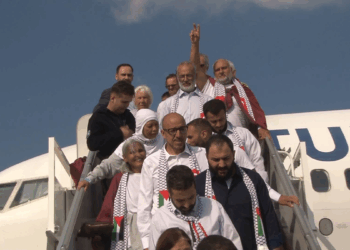 Özgürlük Filosu'nun 94 aktivisti THY uçağıyla İstanbul'a geldi
