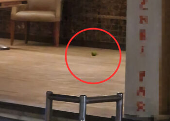Pastaneye pimi çekilmemiş el bombası atıldı