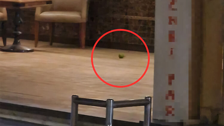 Pastaneye pimi çekilmemiş el bombası atıldı