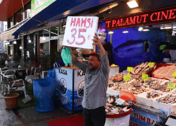 Rize'de hamsi bereketi; kilosu 35 liraya düştü