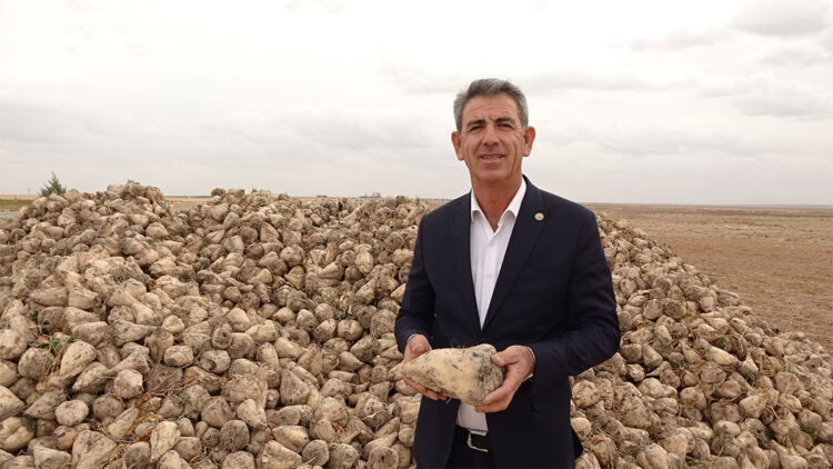 Aksaray'da şeker pancarı hasadı