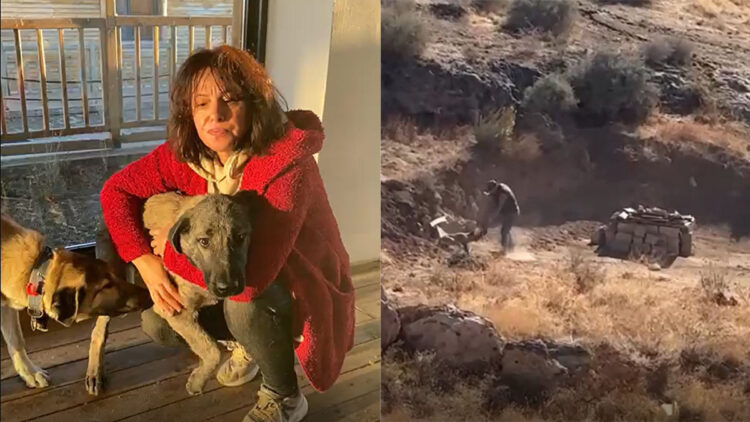 Köpeğe şiddet uygulayana 6 ay 10 gün hapis cezası verildi