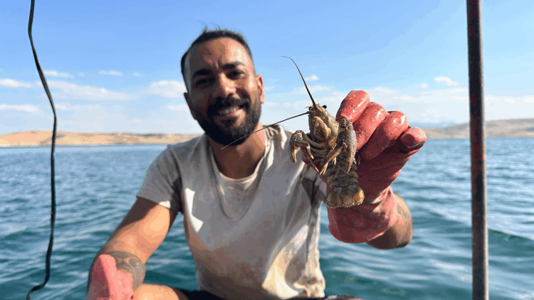 Şehrin kalabalığından sıkılıp köyüne döndü, tatlı su ıstakozu avına başladı