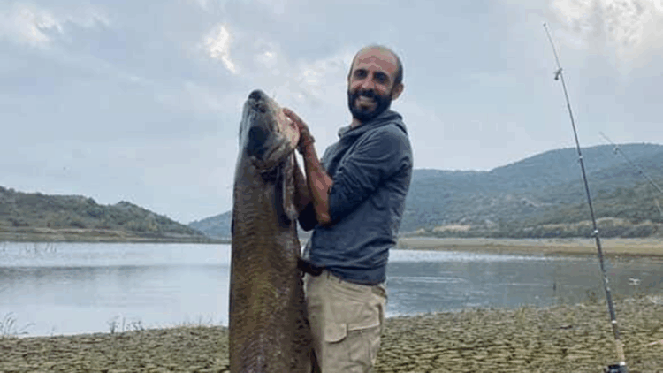 Su seviyesi düşen Boğazköy Barajı'nda yayın balığı avlıyorlar