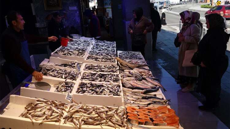 Trabzon’da tezgahlardaki balık çeşitliliği ve bolluğu sürüyor