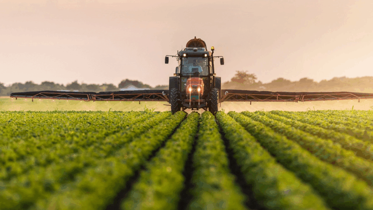 Tarım ürünleri üretici fiyatları eylülde arttı