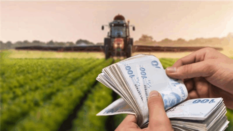 Tarımsal girdi fiyatları ağustosta arttı