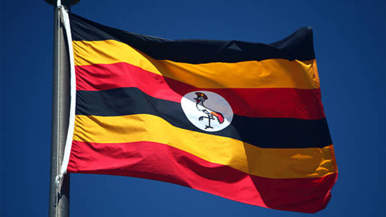 Uganda'da iki otobüs çarpıştı; 63 ölü