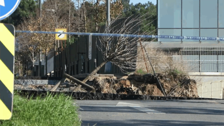 Ümraniye'de istinat duvarı yıkıldı, yol çöktü