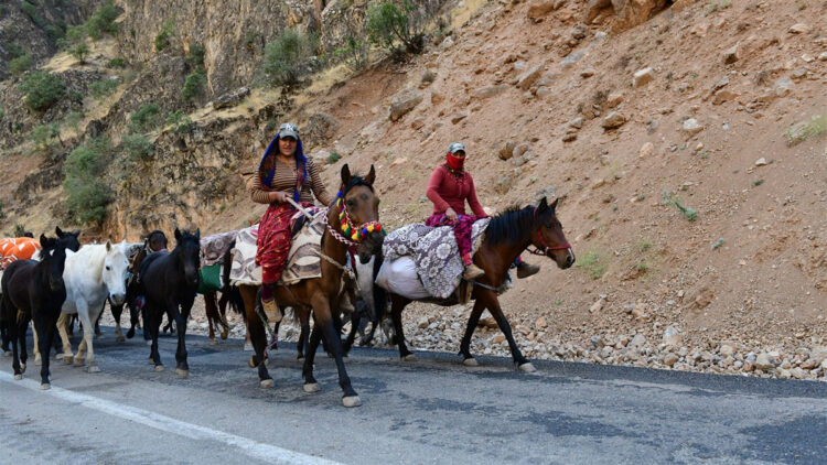 Van'da göçerlerin zorlu yolculuğu başladı