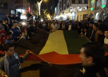 Van'da, 'Gazze'ye destek yürüyüşü' düzenlendi