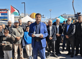Van'da sivil toplum kuruluşlarından Rojin Kabaiş açıklaması