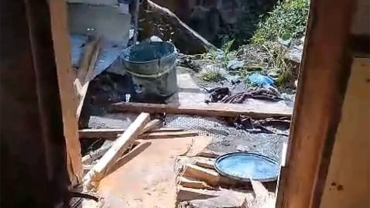 Yiyecek arayan ayılar 8 köy evine zarar verdi