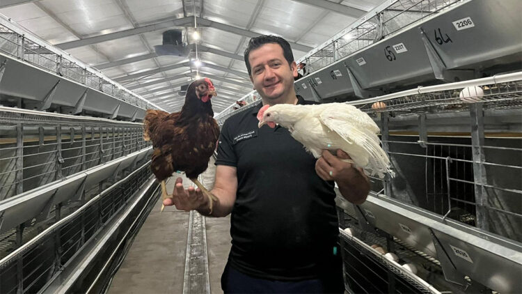 Damızlık civciv üretiminde yapay zeka dönemi