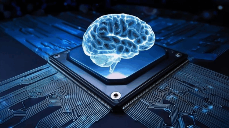 Yapay zeka teknolojileri kullanan girişim oranı arttı