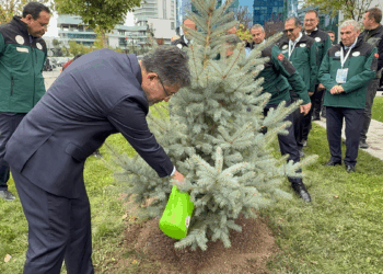 'Yeşil vatan seferberliği' başlatacağız