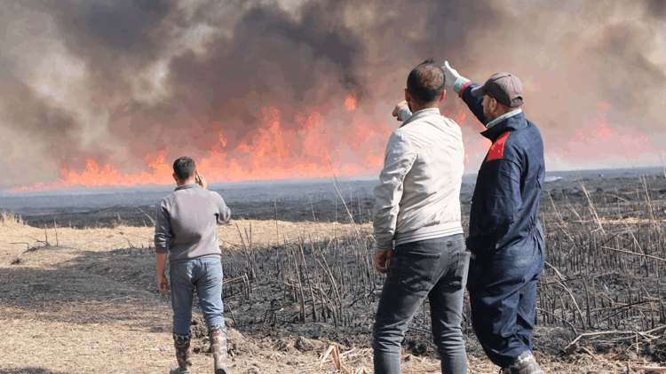 Yüksekova'da Nehil Sazlığı'nda yangın