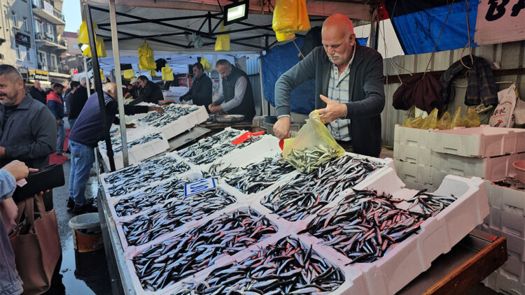 Hamsinin kilosu 70 liraya düştü