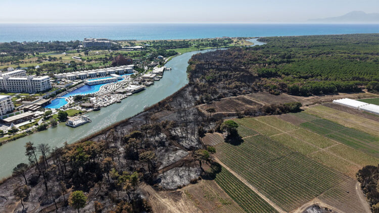 Kumköy’de 'Buraya otel yapılacak' dedikoduları gündemde