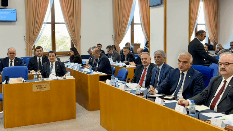 2025'te ülkemize gelen toplam ziyaretçi sayısı 50 milyon