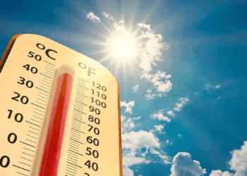 21 Kasım 2025 hava durumu: Meteoroloji'den rekor sıcaklık uyarısı!