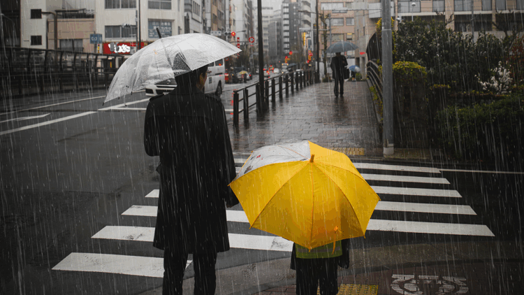 7 Kasım 2025 hava durumu: Meteoroloji’den bazı iller için sel uyarısı