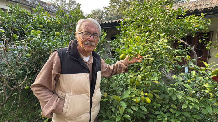 86 yaşında, arazisinde 54 farklı organik meyve yetiştiriyor