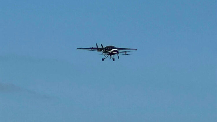 Jamaika'ya yardım taşıyan küçük uçak düştü