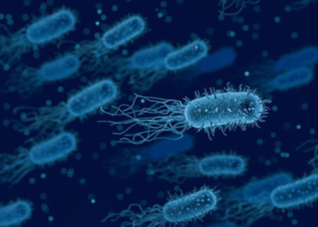 ABD'de listeria bakterisi salgını: 6 ölü