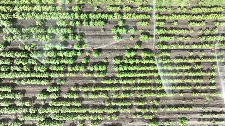 Su kıtlığının önüne geçebilmek için modern sulama sistemleri kullanılmalı